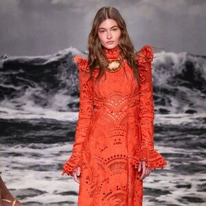 Stunning Zimmerman Dress